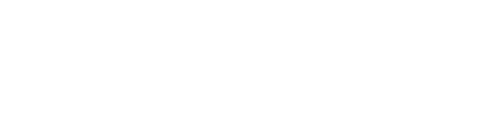 Neta Foundation logo